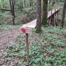 Liepijų miško pėsčiųjų trasa