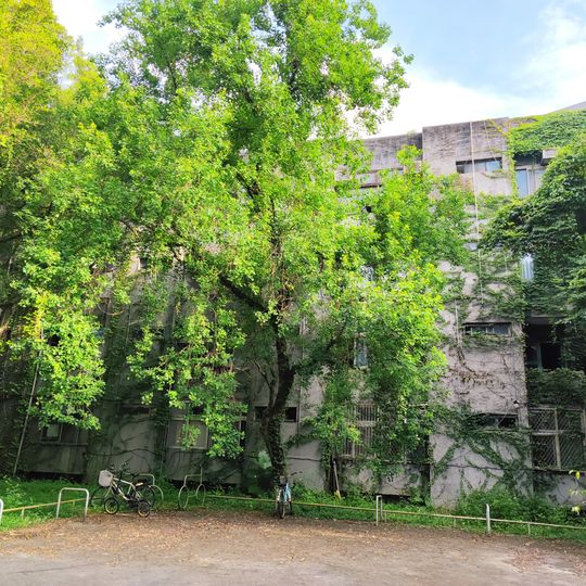 國立臺灣大學中非大樓