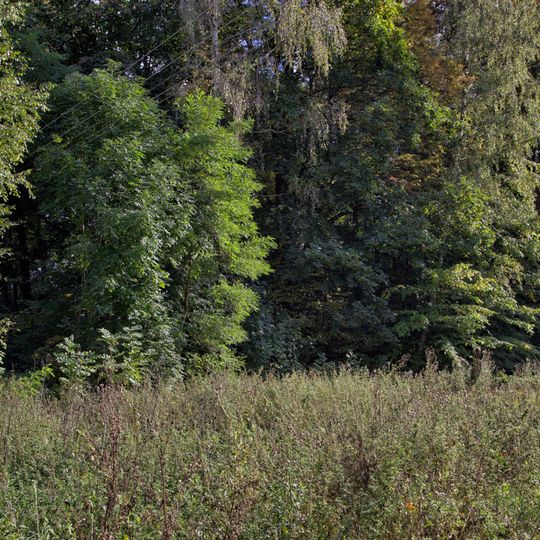 Park of Wola Wydrzyna Palace