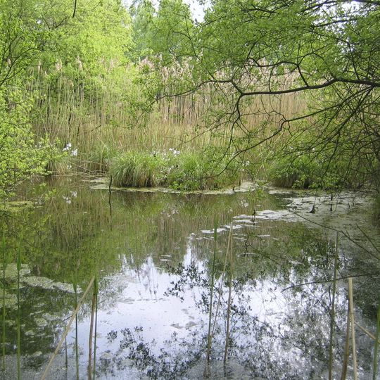 Kiebitzteich