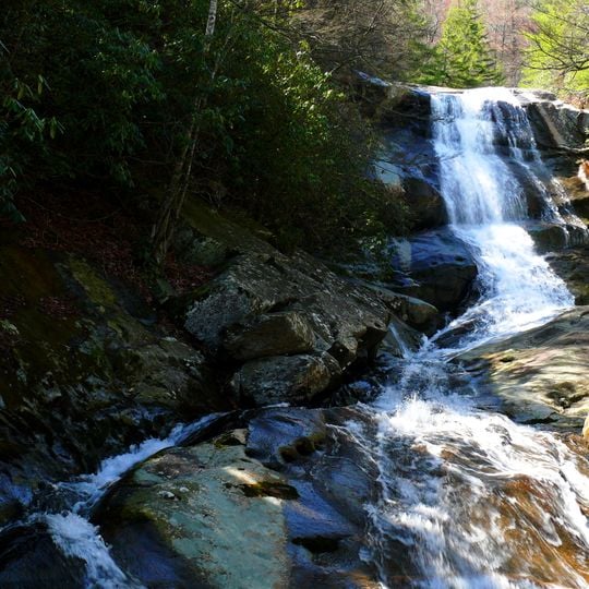 Pisgah National Forest