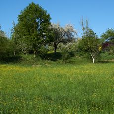 Wiesenhang im Zipfelbachtal