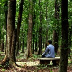 Purwodadi Botanical Garden