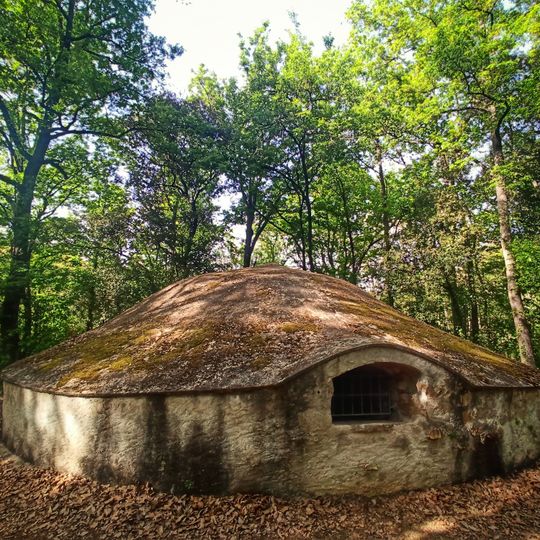 Pou de Glaç de Buscastell