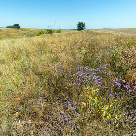 Novohryhorivskyi Reserve
