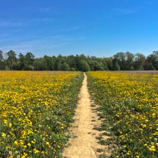 Tikkurila Central Park