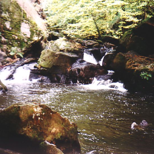 Dronne
