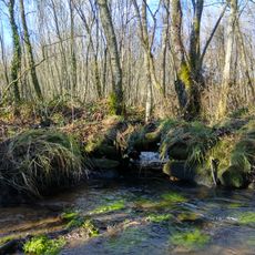 Pontella no Portalece