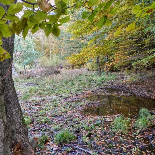 Strošovský močiar