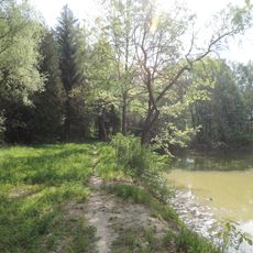 Рокитнівський дендропарк