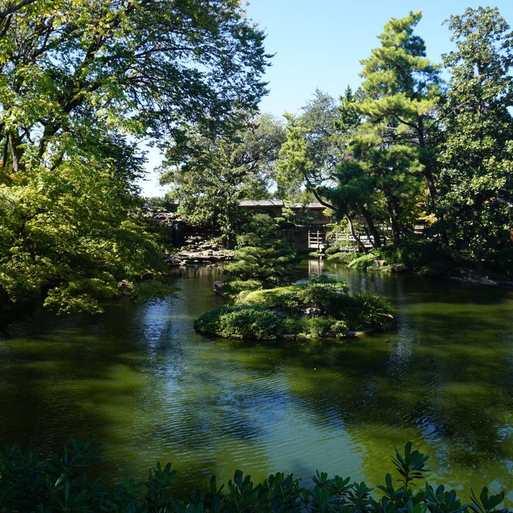 Jardim Botânico de Fort Worth
