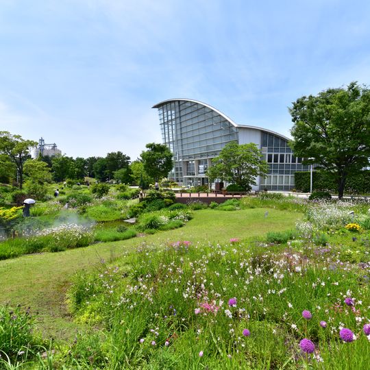 Nagoya Port Wildflower Garden Bluebonnet