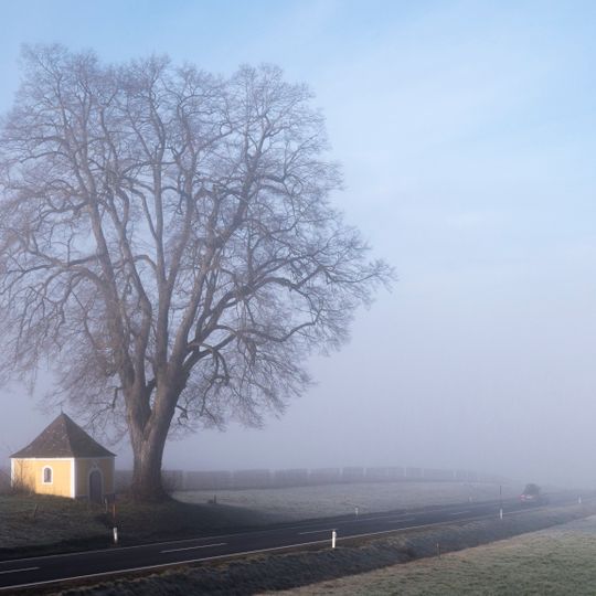 Kapellenlinde von Baumgarting