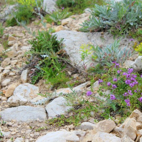 Parc national Samarskaïa Luka