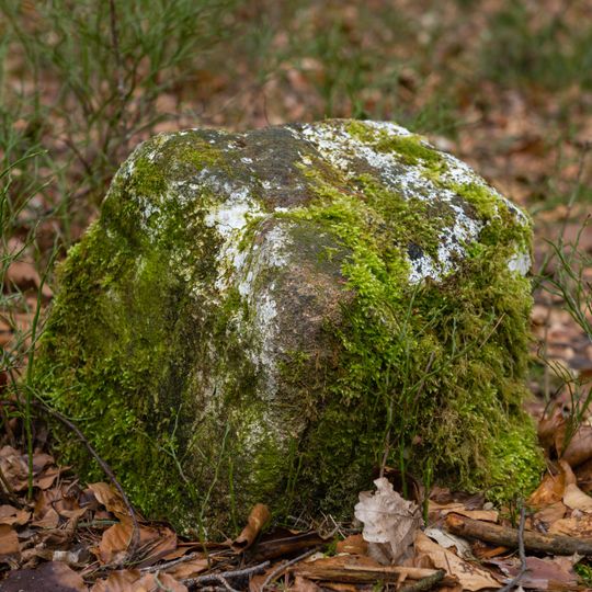 Grenzstein Fürther Stadtwald in Zirndorf