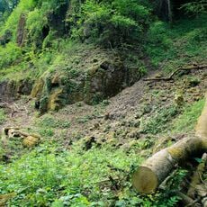 Landschaftsschutzgebiet Teilgebiet Finkenberg