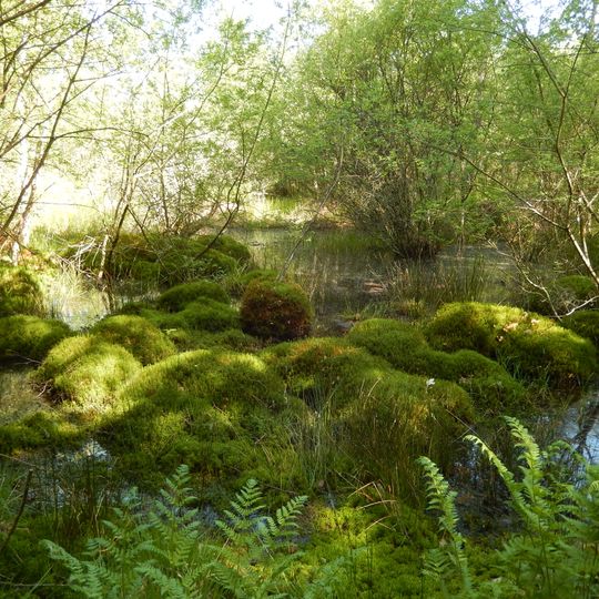 Réserve naturelle régionale des Mardelles de Prémery