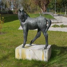 Fohlen