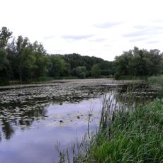 Jezioro Powsinkowskie