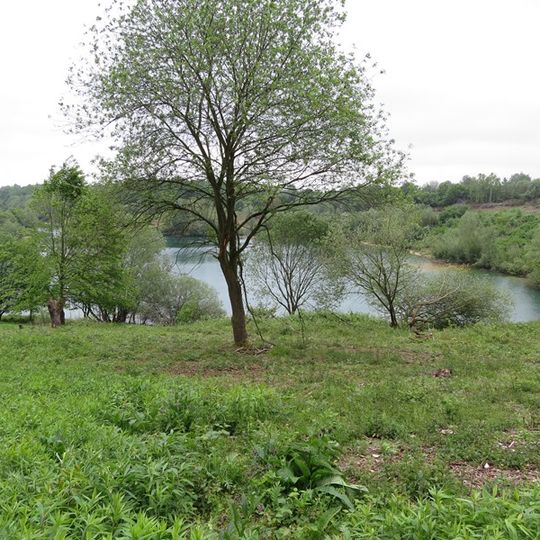 NSG Baggersee Vorster Busch
