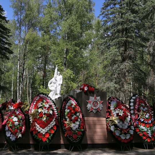 Братская могила воинов Советской Армии, умерших от ран