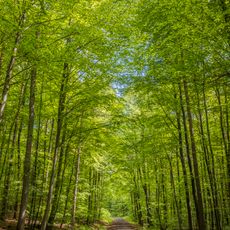 Haßbergetrauf von Königsberg bis Stadtlauringen