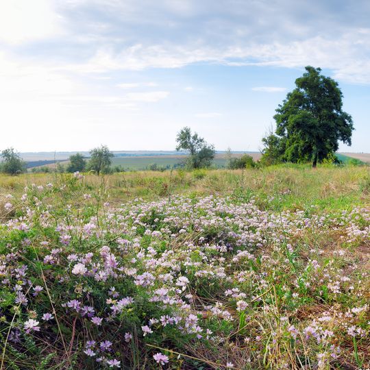 Vasylivka Hromada, Bolhrad Raion