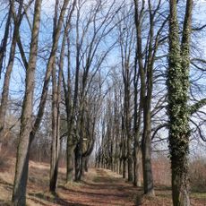 Kaštieľ Pillerovcov, park