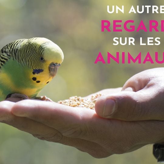 Parc animalier de Lussas