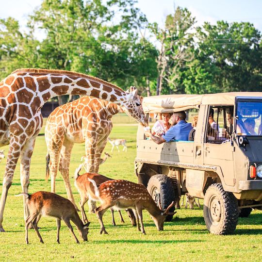 Global Wildlife Center