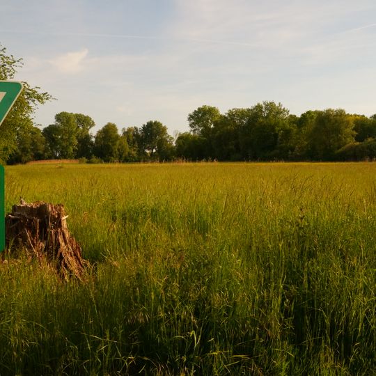 Pfingstweide und Kloppenheimer Wäldchen