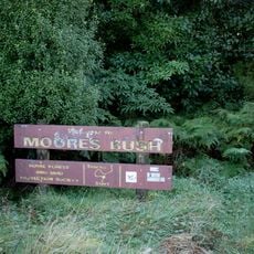 Moore's Bush Reserve
