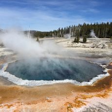 Crested Pool