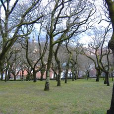 Oak grove of Santa Susana