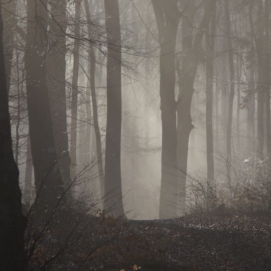 Heiden und Wälder zwischen Aalen und Heidenheim