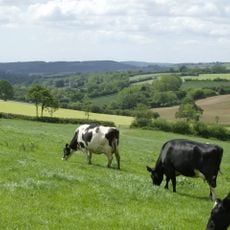 Blackdown Hills