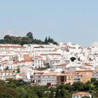 Prado del Rey
