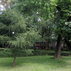 Park on Łukasińskiego street in Częstochowa
