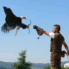Greifvogelpark Katharinenberg