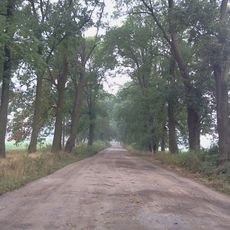 Park ze stawami oraz aleja dojazdowa od wschodu