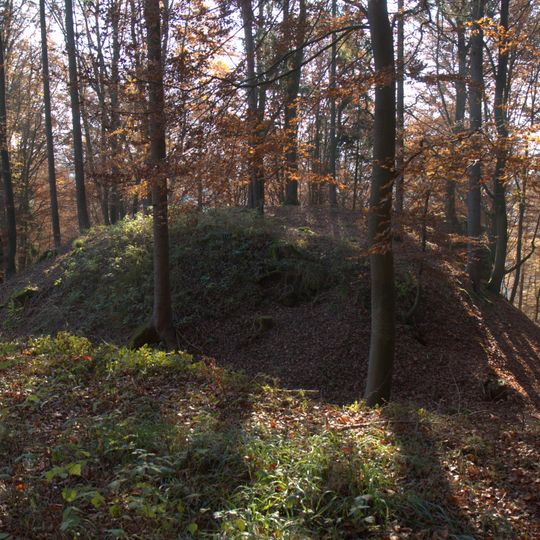 Burgstall Frickenhofen