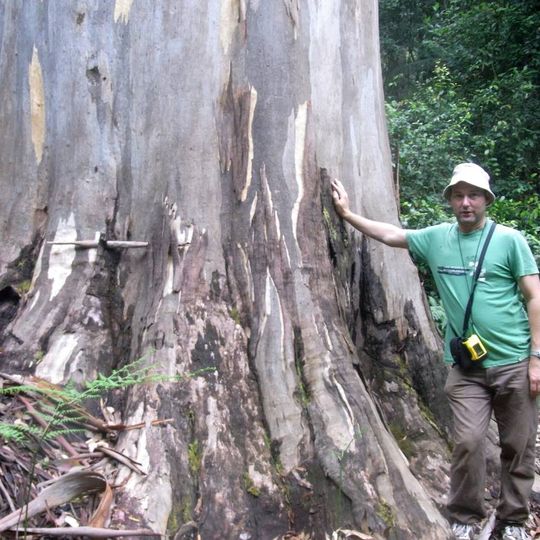 Currency Creek Arboretum