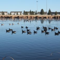 Gillette Fishing Lake
