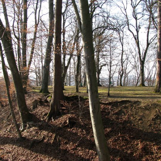 Burgstall Engelsberg