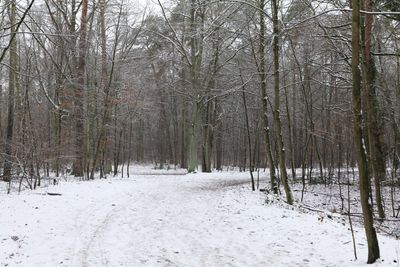 Winter 1