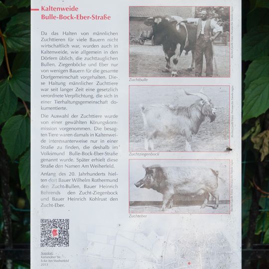 GLIEM Tafel 55 Bulle-Bock-Eber-Straße