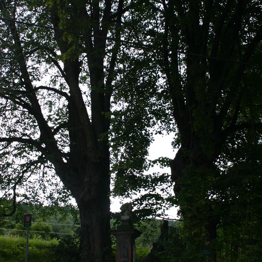 Lípy v Horní Vsi u Litvínova