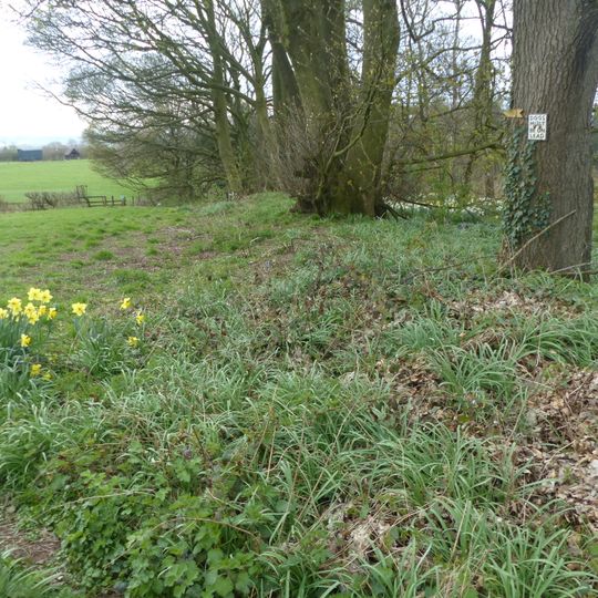 Ravensdale deer park, lodge, mill and fishpond