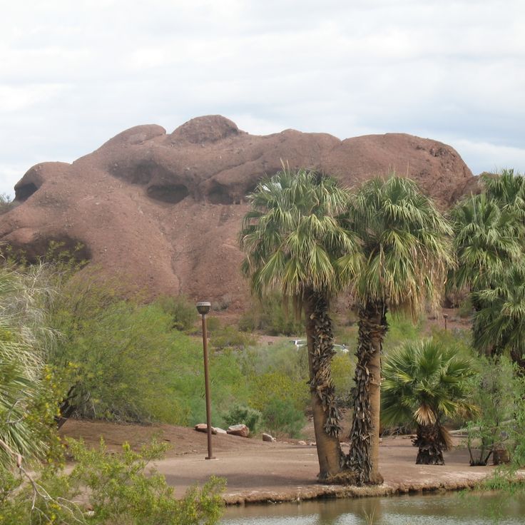 Parque Papago