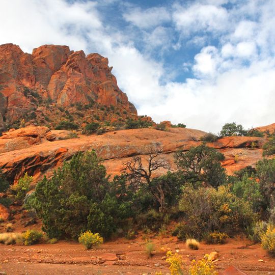 Upper Muley Twist Canyon